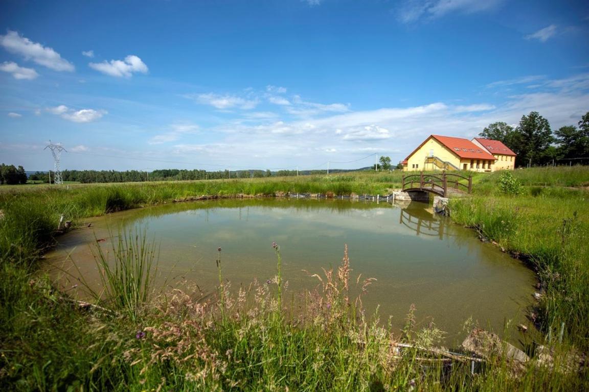 Apartamento Dom Na Lesnej Gorze Leśna Exterior foto